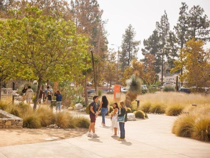 Students mingle in Holden Garden outside the dining hall.